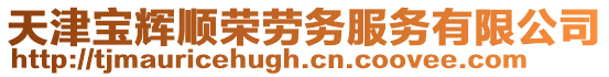 天津寶輝順榮勞務服務有限公司