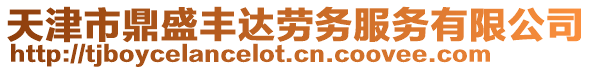 天津市鼎盛豐達(dá)勞務(wù)服務(wù)有限公司