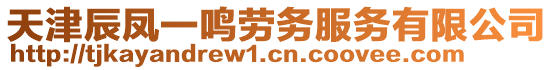 天津辰鳳一鳴勞務(wù)服務(wù)有限公司