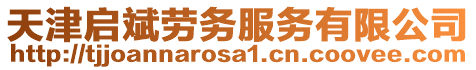 天津啟斌勞務服務有限公司