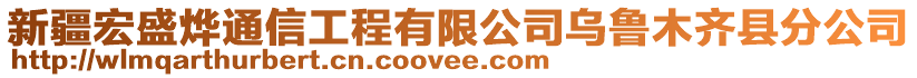 新疆宏盛燁通信工程有限公司烏魯木齊縣分公司