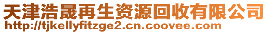 天津浩晟再生資源回收有限公司