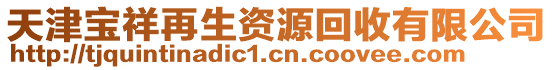 天津?qū)毾樵偕Y源回收有限公司