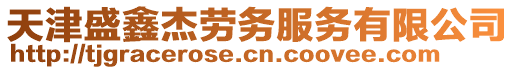 天津盛鑫杰勞務(wù)服務(wù)有限公司