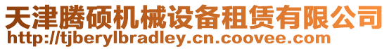 天津騰碩機械設備租賃有限公司