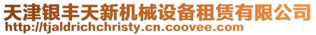 天津銀豐天新機(jī)械設(shè)備租賃有限公司