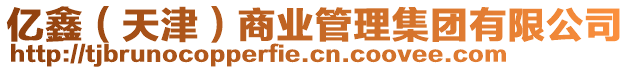 億鑫(天津)商業(yè)管理集團有限公司