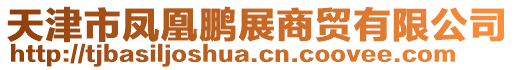 天津市鳳凰鵬展商貿(mào)有限公司