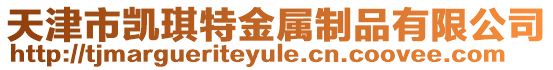 天津市凱琪特金屬制品有限公司