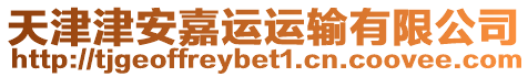 天津津安嘉運(yùn)運(yùn)輸有限公司