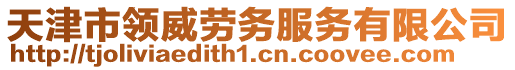 天津市領威勞務服務有限公司