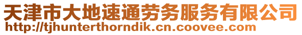 天津市大地速通勞務(wù)服務(wù)有限公司