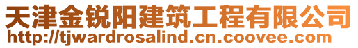 天津金銳陽建筑工程有限公司