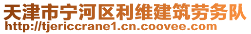 天津市寧河區(qū)利維建筑勞務(wù)隊(duì)