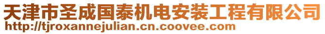 天津市圣成國(guó)泰機(jī)電安裝工程有限公司