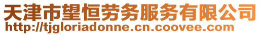 天津市望恒勞務服務有限公司