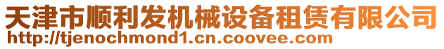 天津市順利發(fā)機械設(shè)備租賃有限公司