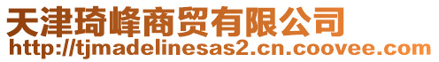 天津琦峰商貿有限公司