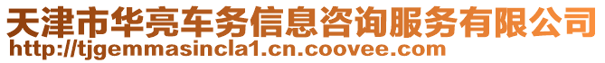 天津市華亮車務(wù)信息咨詢服務(wù)有限公司