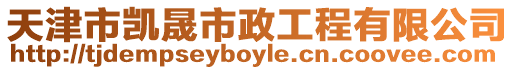 天津市凱晟市政工程有限公司