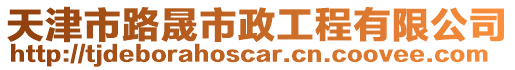 天津市路晟市政工程有限公司