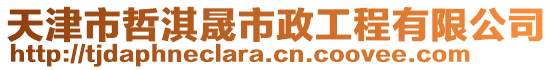 天津市哲淇晟市政工程有限公司