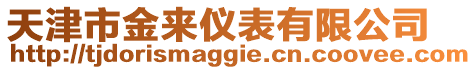 天津市金來儀表有限公司