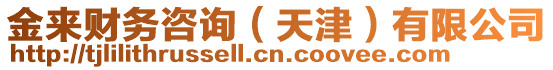 金來(lái)財(cái)務(wù)咨詢（天津）有限公司