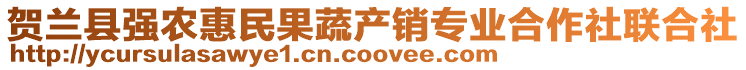 賀蘭縣強(qiáng)農(nóng)惠民果蔬產(chǎn)銷專業(yè)合作社聯(lián)合社