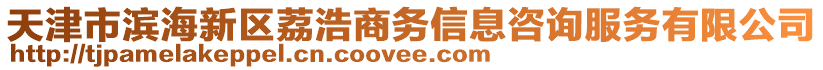 天津市濱海新區(qū)荔浩商務(wù)信息咨詢服務(wù)有限公司