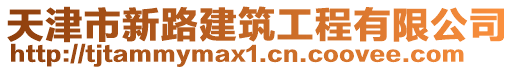 天津市新路建筑工程有限公司