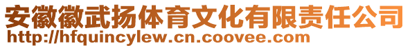 安徽徽武揚體育文化有限責(zé)任公司