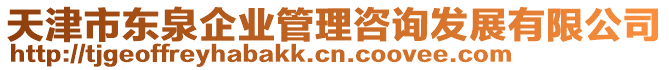 天津市東泉企業(yè)管理咨詢發(fā)展有限公司