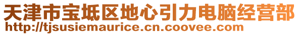 天津市寶坻區(qū)地心引力電腦經(jīng)營(yíng)部