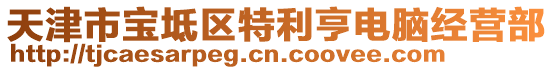 天津市寶坻區(qū)特利亨電腦經(jīng)營部