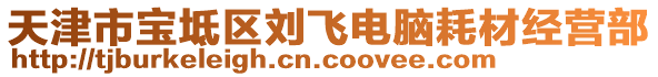 天津市寶坻區(qū)劉飛電腦耗材經(jīng)營部