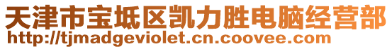 天津市寶坻區(qū)凱力勝電腦經(jīng)營部