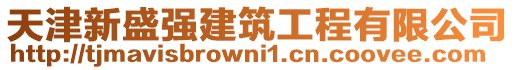 天津新盛強(qiáng)建筑工程有限公司