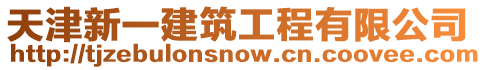 天津新一建筑工程有限公司