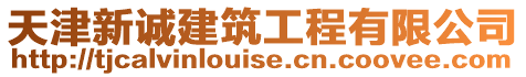天津新誠建筑工程有限公司