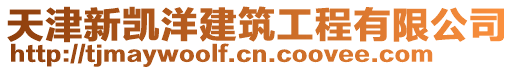 天津新凱洋建筑工程有限公司