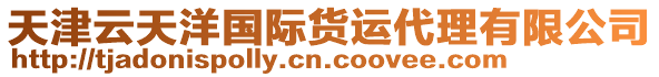 天津云天洋國(guó)際貨運(yùn)代理有限公司