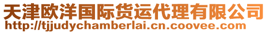 天津歐洋國際貨運(yùn)代理有限公司