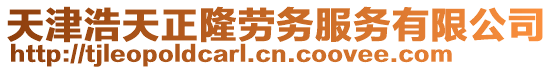 天津浩天正隆勞務(wù)服務(wù)有限公司