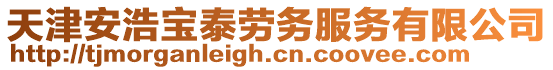 天津安浩寶泰勞務(wù)服務(wù)有限公司