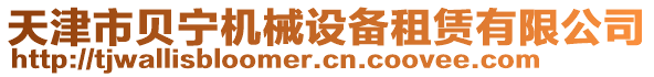 天津市貝寧機械設(shè)備租賃有限公司