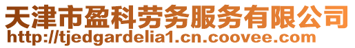 天津市盈科勞務服務有限公司