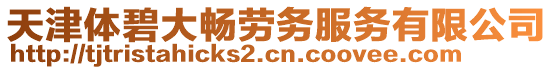 天津體碧大暢勞務(wù)服務(wù)有限公司