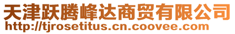 天津躍騰峰達商貿有限公司