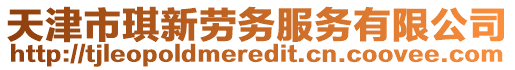 天津市琪新勞務(wù)服務(wù)有限公司